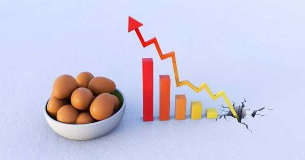 中粮期货：现货价格涨跌两难，鸡蛋能稳到何时？